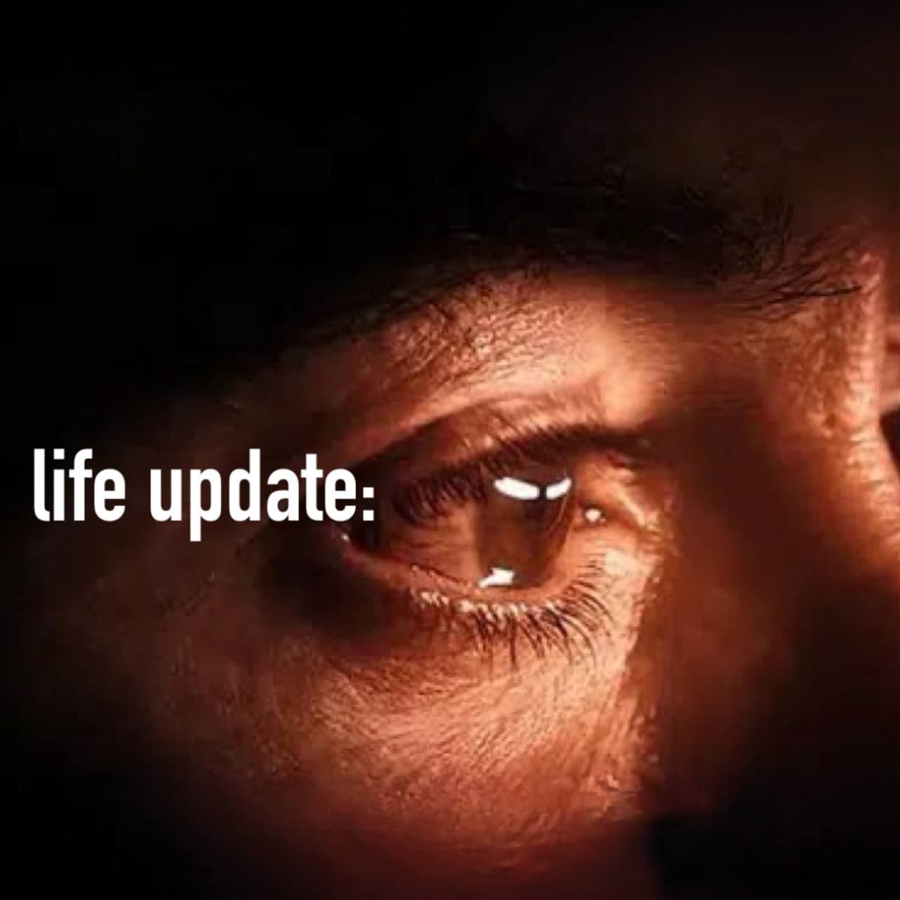 Life update meme 2